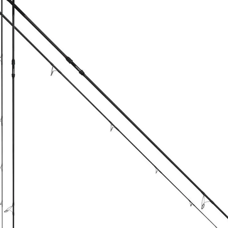 Century C2-D Carp Fishing Rod<Carp Rods
