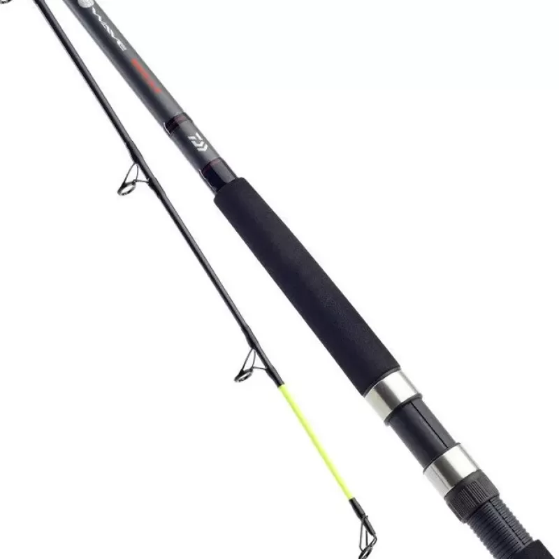 Daiwa D Wave Boat Fishing Rod<Sea Rods