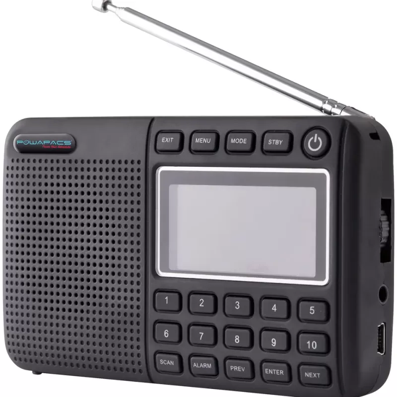 Powapacs DAB+ Pro Radio<Carp Miscellaneous