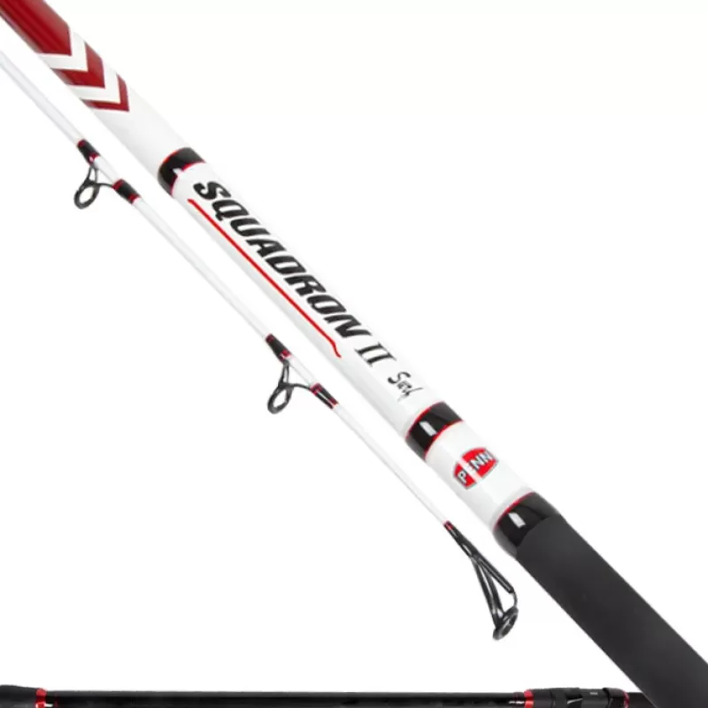 Penn Squadron II Surf Fishing Rod<Sea Rods